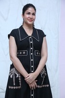 Lavanya Tripathi Sathi Leelavathi Interview Photos